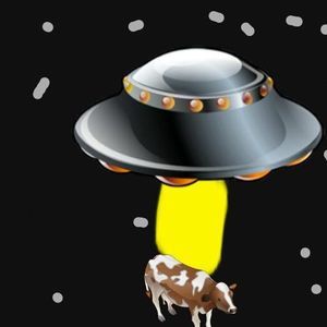 Meet your Posher, Ray